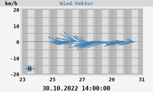 Wind Vector